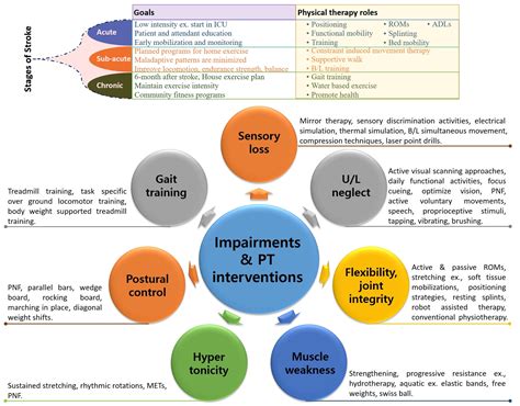 reasons for rehabilitation.
